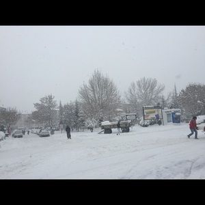 Meet your Posher, Basima